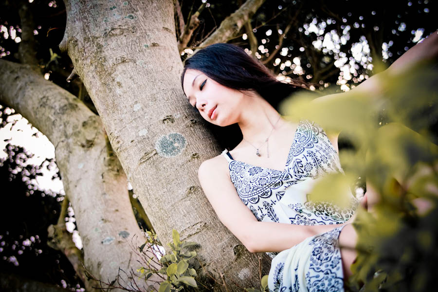 http://i.dcview.tw/gallery/201107/184bf439c117a6ef7728021803309370.jpg