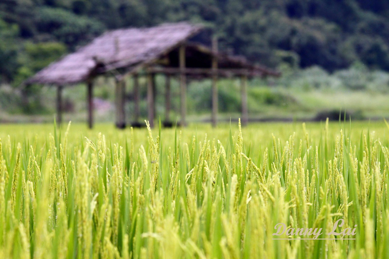 http://i.dcview.tw/gallery/201107/19d289d55a0b0a06e83c91c6593d300e.jpg