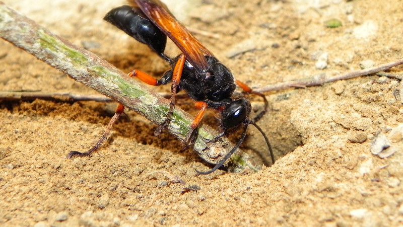 http://i.dcview.tw/gallery/201107/1b8a796d382d377eab785238fc08b835.jpg