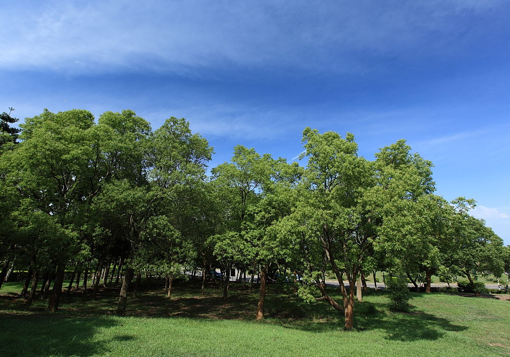 http://i.dcview.tw/gallery/201107/1ed0bba9cbdb0468b237d3b1df68894e.jpg