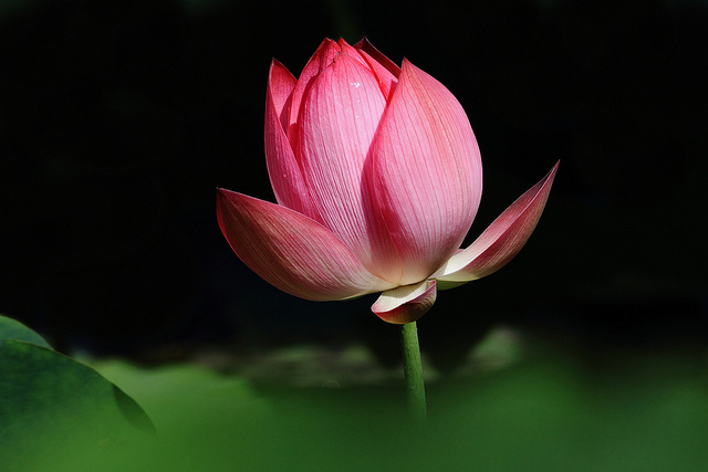 http://i.dcview.tw/gallery/201107/20605840a8b7372d73733b3dc13fa353.jpg