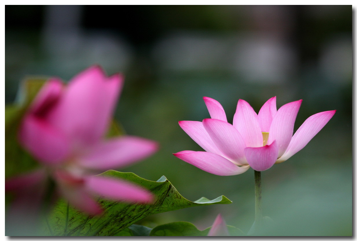 http://i.dcview.tw/gallery/201107/26afaba8a6f1592d5a0de23c5fe3ce87.jpg