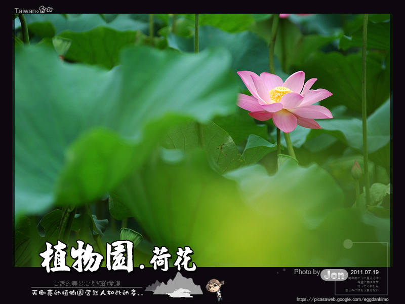 http://i.dcview.tw/gallery/201107/2d4133bb16b0452f222555503740393a.jpg