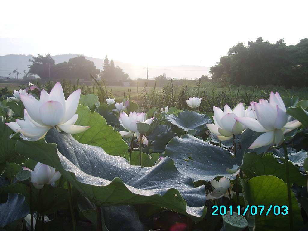 http://i.dcview.tw/gallery/201107/2deb23c188de2429b0fc9b7e903c9b8a.jpg