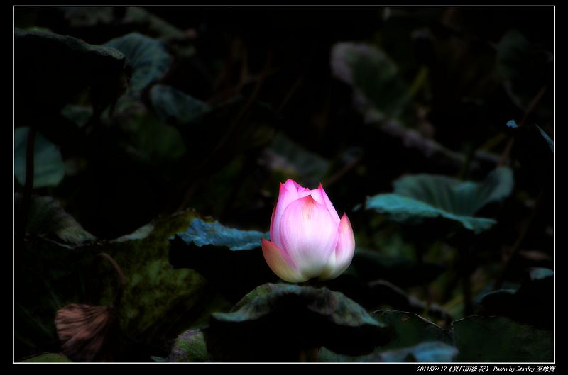 http://i.dcview.tw/gallery/201107/2e65becaf60bced4ca4ae65428b086d3.jpg