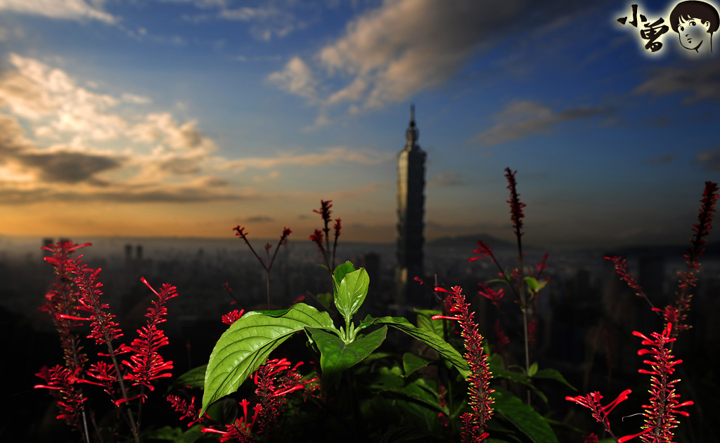 http://i.dcview.tw/gallery/201107/301911fc2cc47a6bab5537d619881eb0.jpg