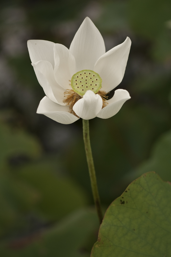 http://i.dcview.tw/gallery/201107/3567378bba6d1392370d9abb82df012f.jpg