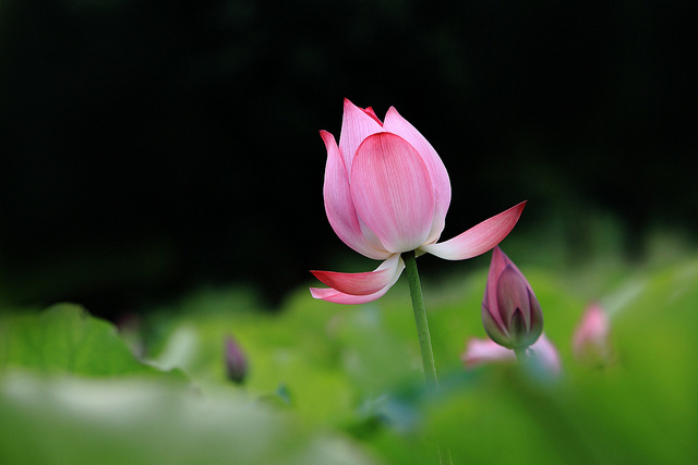 http://i.dcview.tw/gallery/201107/375a530ccad640d4a98a97d3a723b65b.jpg