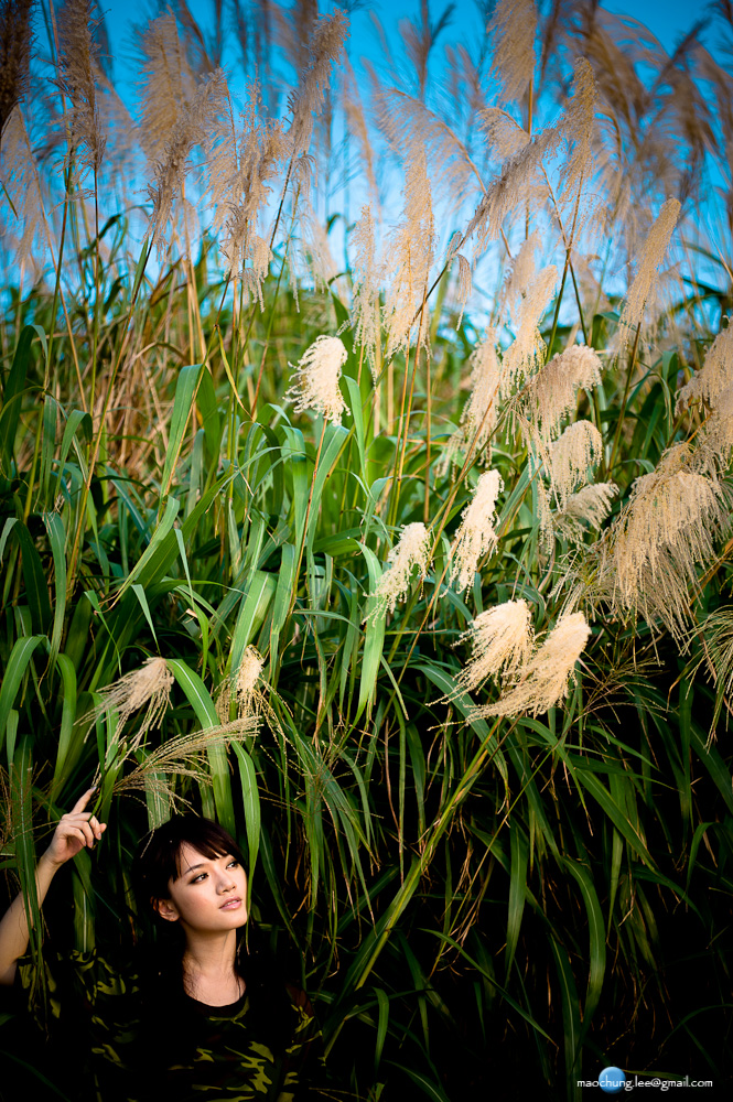 http://i.dcview.tw/gallery/201107/3be76ff6dfa097f6502cde1f053d2684.jpg