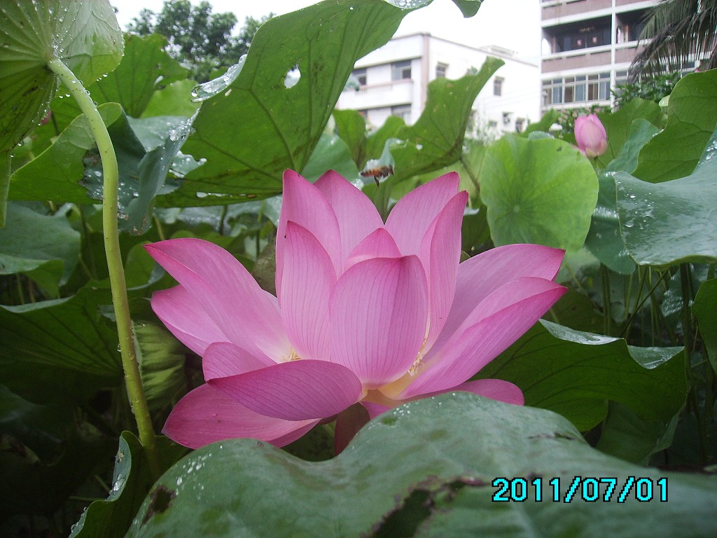 http://i.dcview.tw/gallery/201107/3fc0aa271efb23c1bc92aa59740a5609.jpg