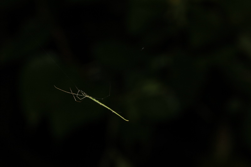 http://i.dcview.tw/gallery/201107/430b213166e9913bedb9cb40d9e1615f.jpg