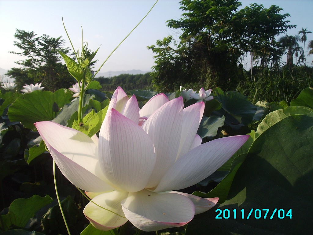 http://i.dcview.tw/gallery/201107/44a9024ce89e9e07935603f3385226ee.jpg