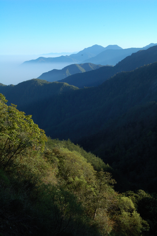 http://i.dcview.tw/gallery/201107/45131d67a0b60f36d23ee6905101f1ae.jpg