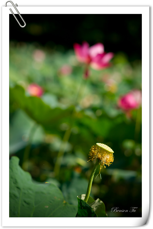 http://i.dcview.tw/gallery/201107/459baa0f63ae0bfd1dce31cb15317b6e.jpg