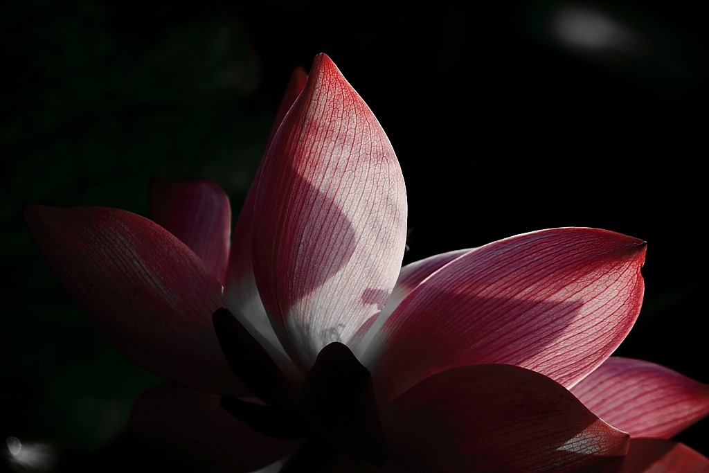 http://i.dcview.tw/gallery/201107/45bbf9e8ad0dc0723acd94dc2be63192.jpg