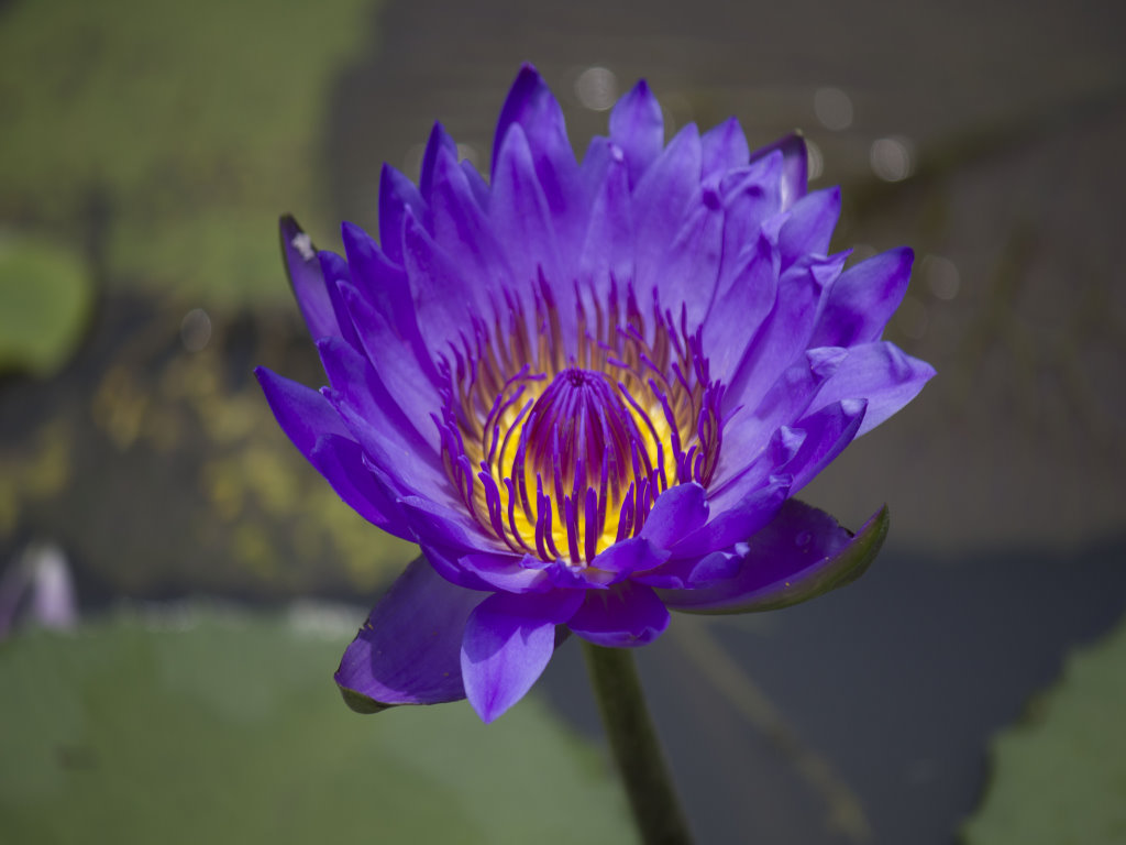 http://i.dcview.tw/gallery/201107/4fd5e0ccaf48923c619fd37218ebb0e2.jpg