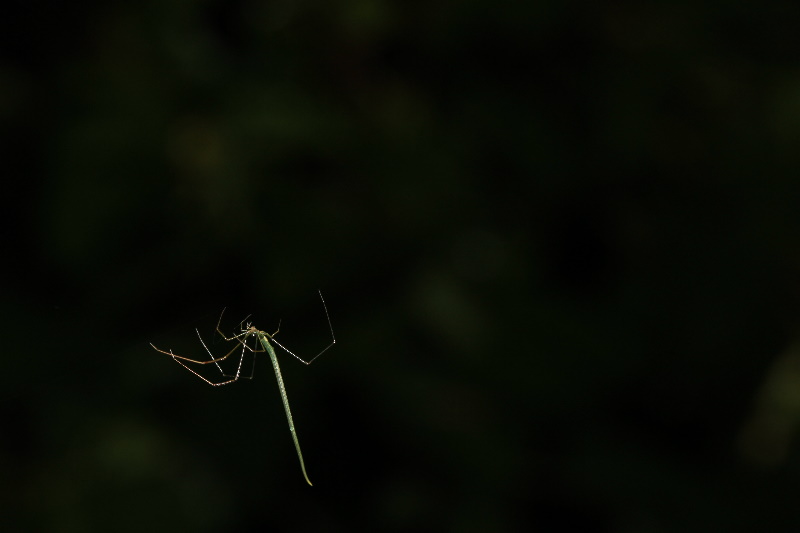 http://i.dcview.tw/gallery/201107/51955e0fd0dd414d0f6d794c4036a61f.jpg