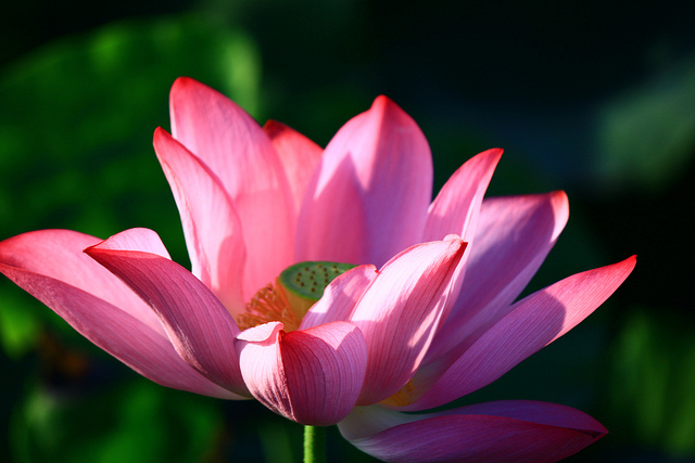 http://i.dcview.tw/gallery/201107/5d08321be63f12bb7424cefa8173c3e3.jpg
