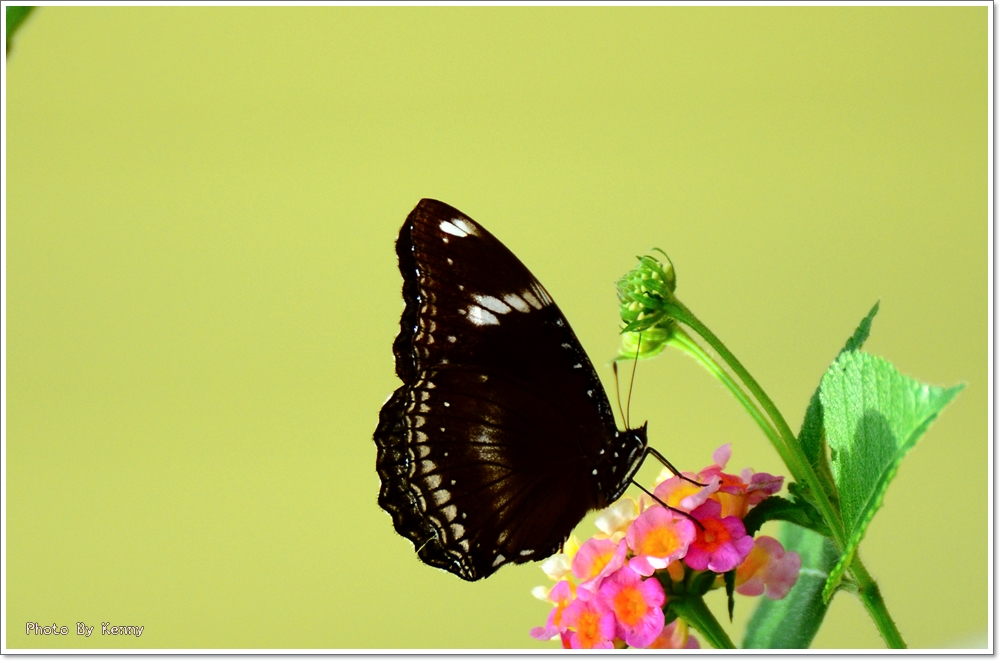 http://i.dcview.tw/gallery/201107/5e31999d08f61a16a4a4d9792c5cd11a.jpg