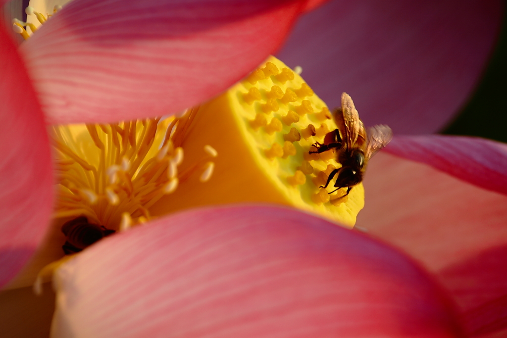 http://i.dcview.tw/gallery/201107/6476d65e23374d145f694e9242976496.jpg