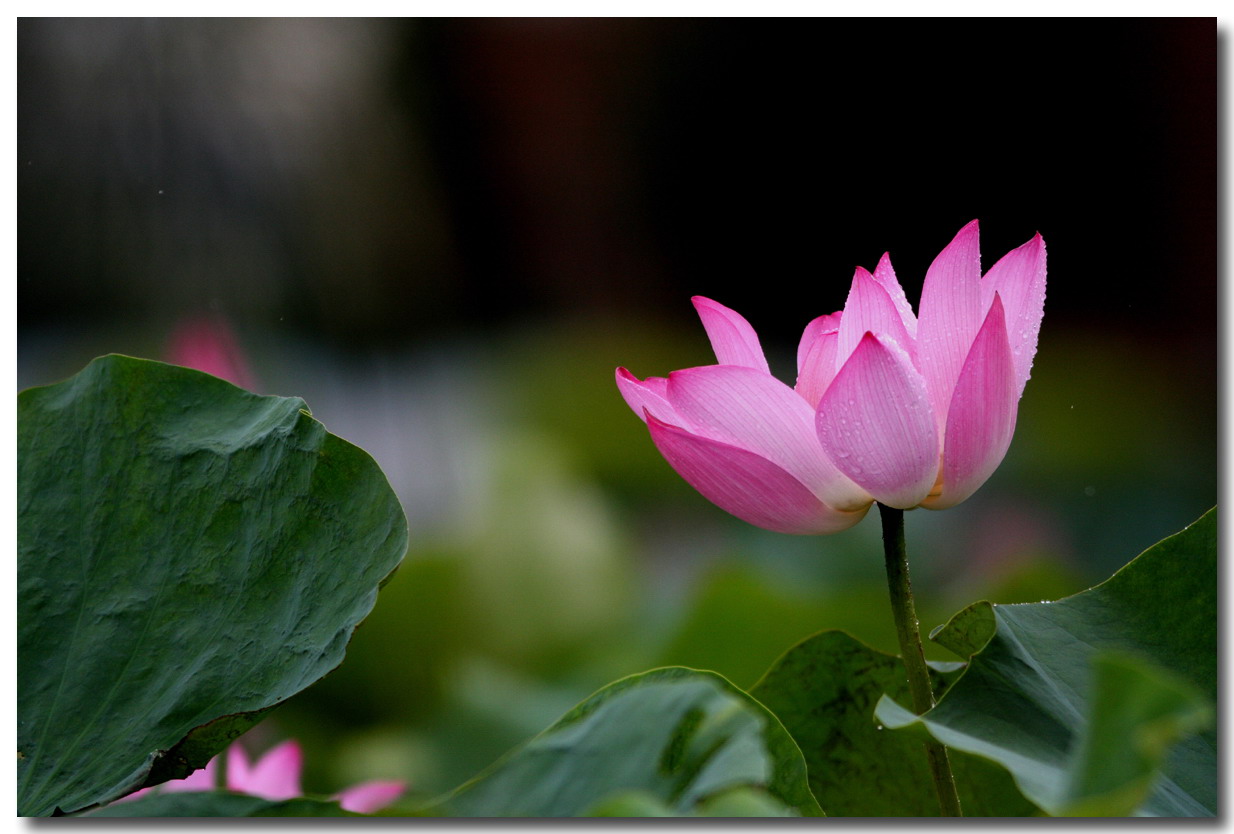 http://i.dcview.tw/gallery/201107/68d41384b58abe4a313bed7132ba1e00.jpg