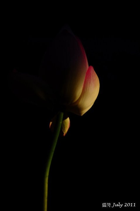http://i.dcview.tw/gallery/201107/6c984a05bdf58d434ba0866af8f71d3f.jpg