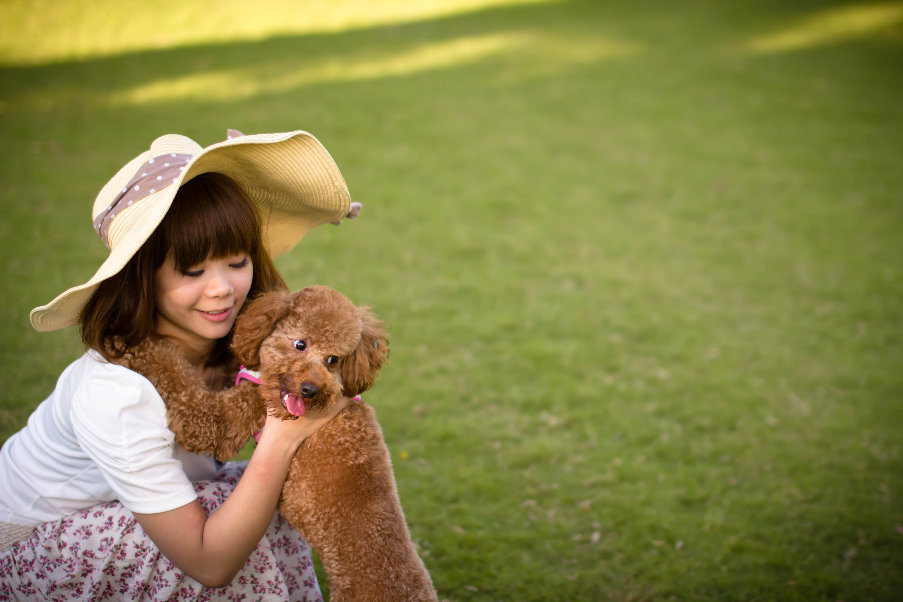http://i.dcview.tw/gallery/201107/74362e08e3f12a86a7b158e8d1786458.jpg