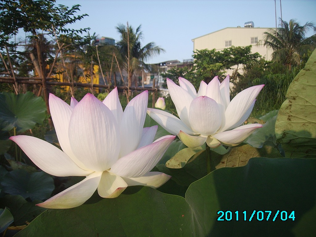 http://i.dcview.tw/gallery/201107/74f7b386ee2a960d4bb3174becfd7ae6.jpg