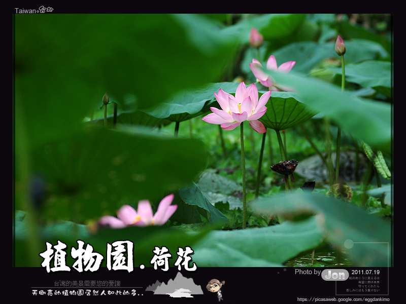 http://i.dcview.tw/gallery/201107/7efe2b9de122793f2c51b0fd9db5af0f.jpg