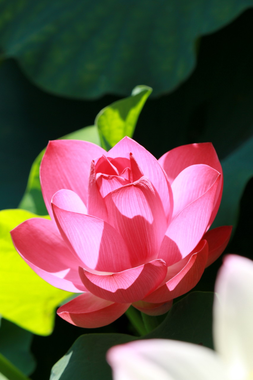http://i.dcview.tw/gallery/201107/89ceabf6d132cc2a07d8b109c9a9034a.jpg