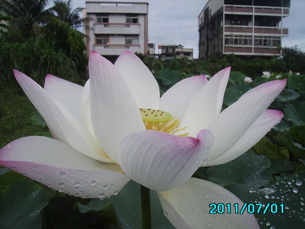 http://i.dcview.tw/gallery/201107/8bb0de78ac40ca3e142ff937baf1c81f.jpg