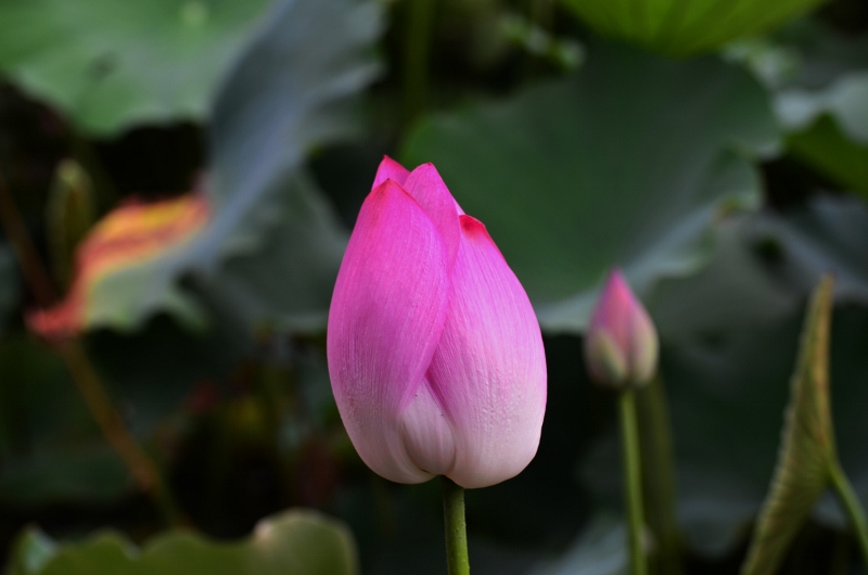 http://i.dcview.tw/gallery/201107/8bea44b4ae76610611fae5e95d9a12d0.jpg
