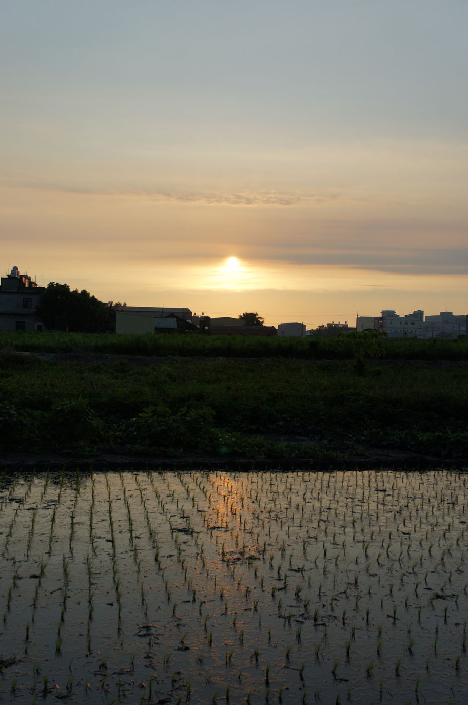 http://i.dcview.tw/gallery/201107/9b2002bcf2a21c1d36f6c86805f534e5.jpg