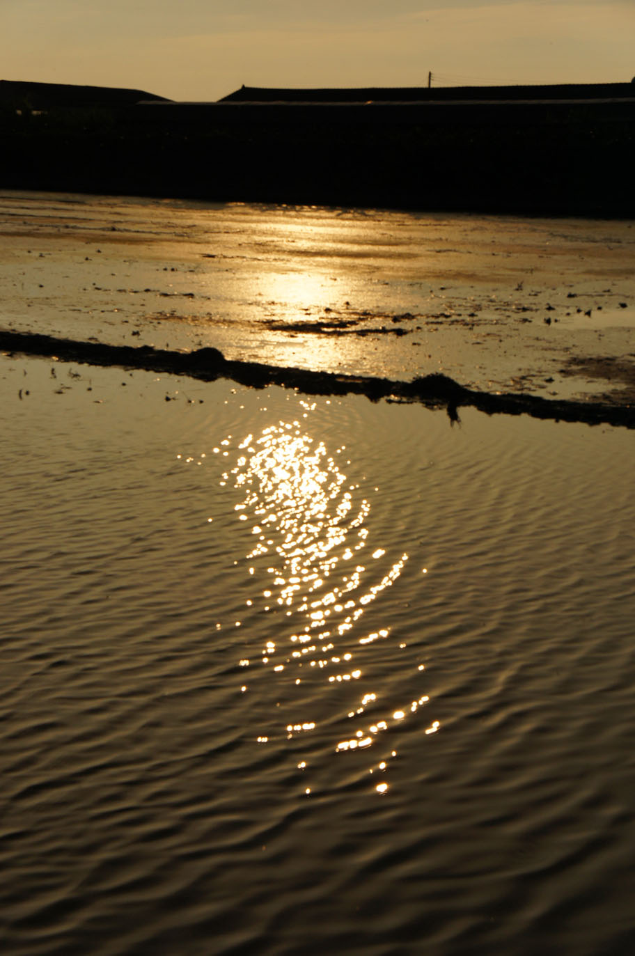 http://i.dcview.tw/gallery/201107/9e406056118d1f628bd7e99211903ab3.jpg