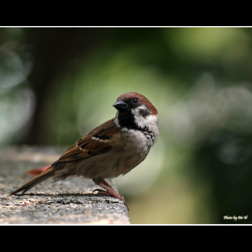 http://i.dcview.tw/gallery/201107/9e5ebf23c321a798a390c473da9ed4b9.jpg