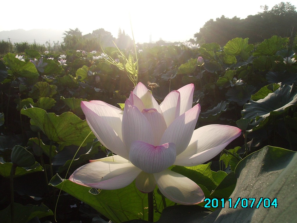 http://i.dcview.tw/gallery/201107/9ebd6c17c08051f5eedbc052b5853b34.jpg