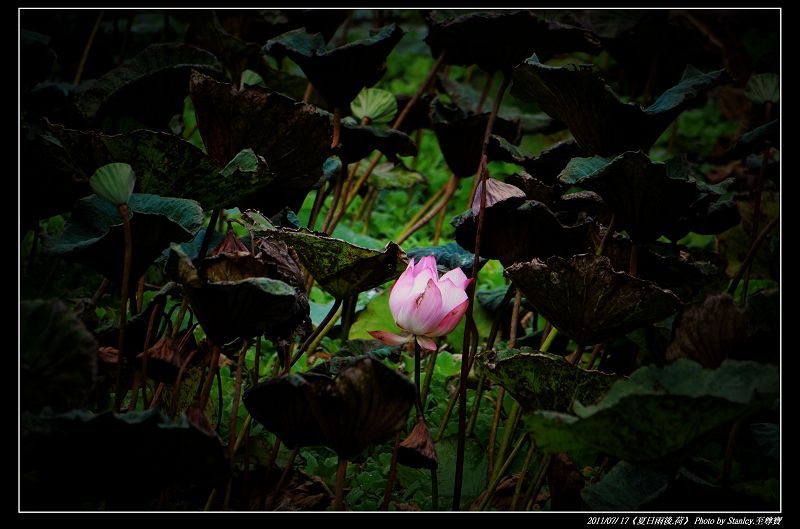 http://i.dcview.tw/gallery/201107/a1d927d9e07e94184843da9a8e01a737.jpg