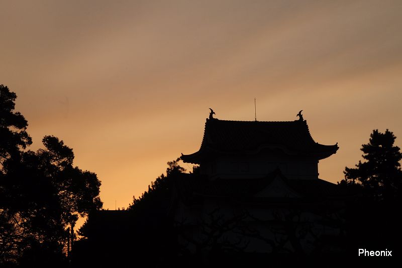 http://i.dcview.tw/gallery/201107/a4df568211a71967d1f4c79ceb3abe5a.jpg
