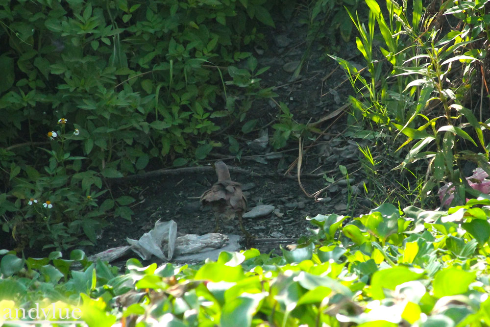http://i.dcview.tw/gallery/201107/a63afdae114a0c3d9a90cbe6f06092fc.jpg
