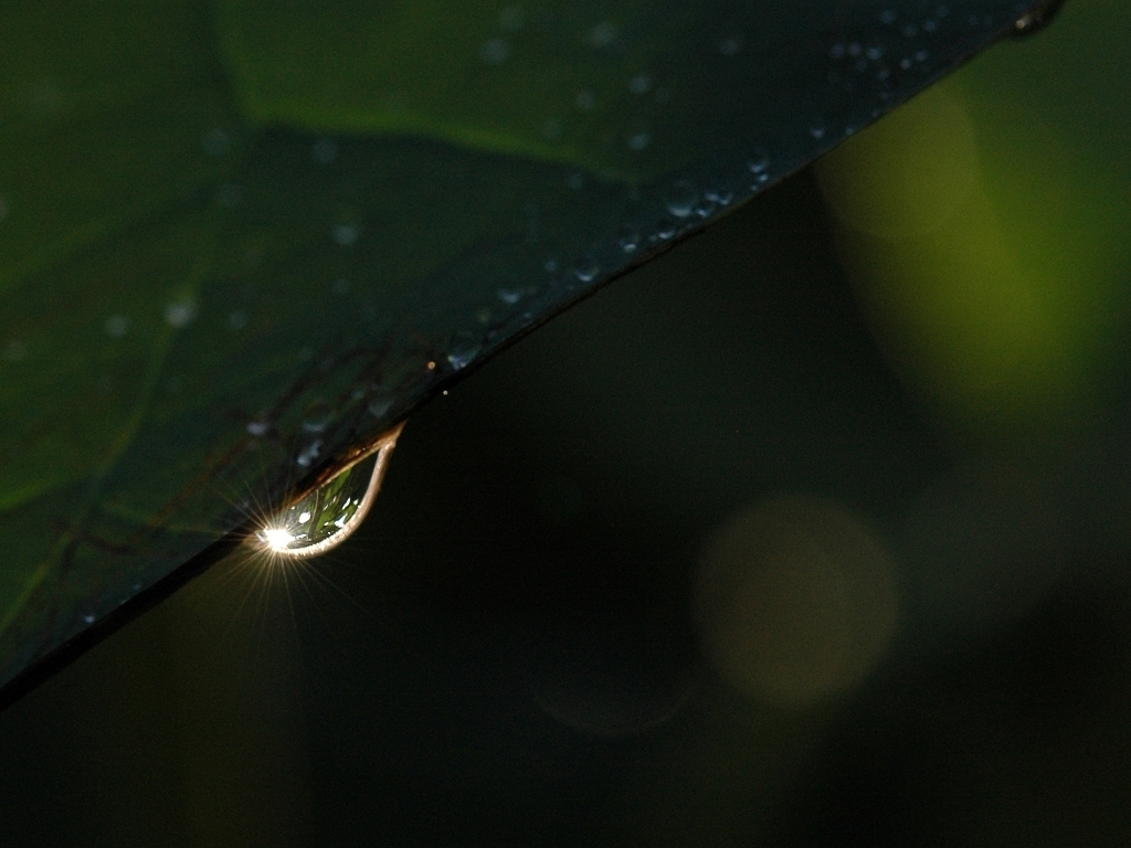 http://i.dcview.tw/gallery/201107/ae45c162f0f252542df51deae896be00.jpg