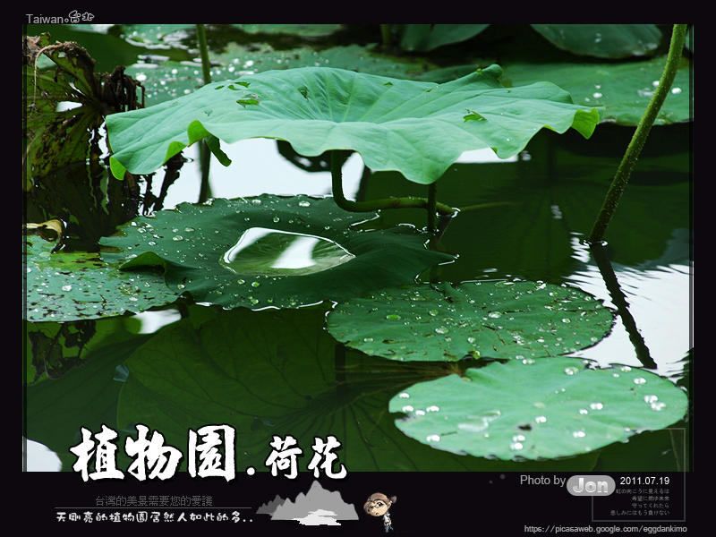 http://i.dcview.tw/gallery/201107/b082ffdacb5259f5fdc6f8d36821e659.jpg