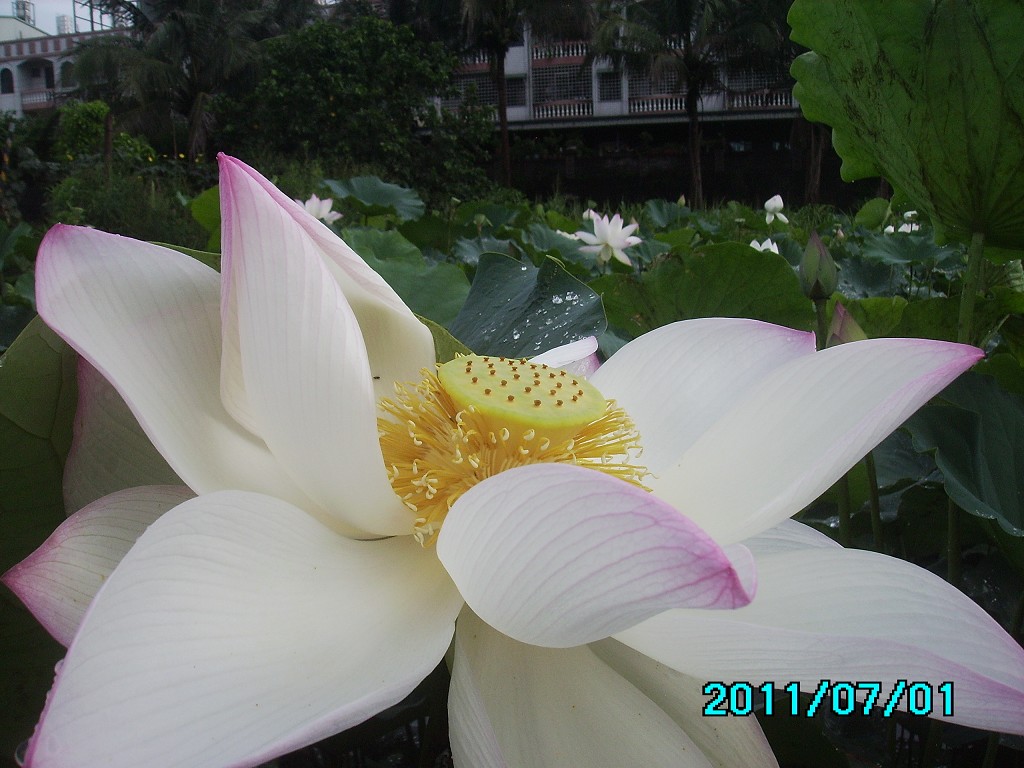 http://i.dcview.tw/gallery/201107/b21901478e7879a04ca96daa0b35b213.jpg