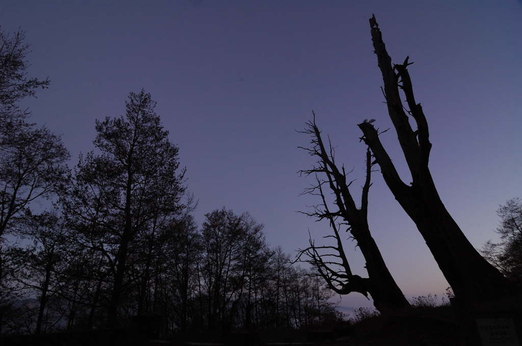 http://i.dcview.tw/gallery/201107/b4e45e53b750296b5b80284ae1abb7d0.jpg