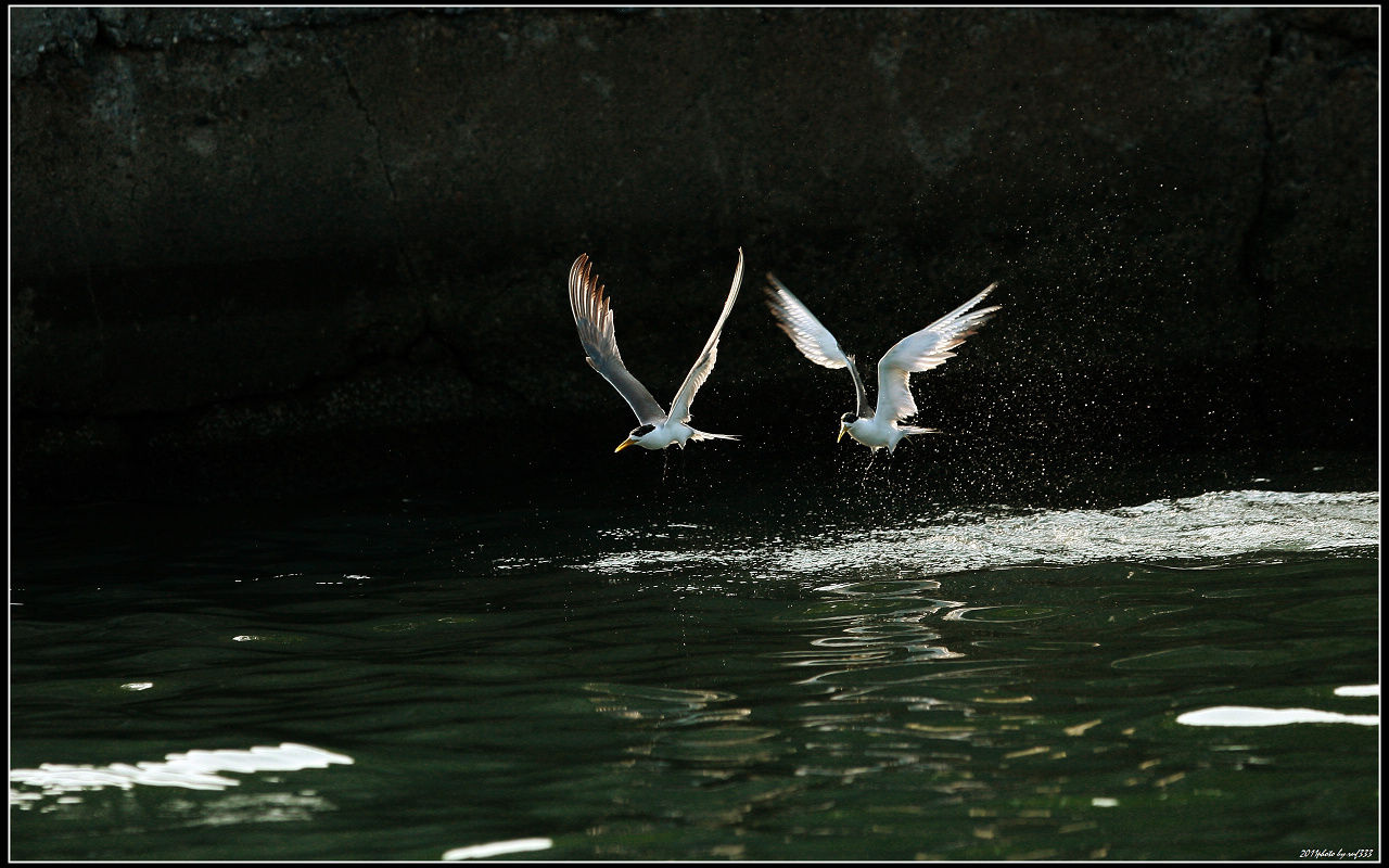 http://i.dcview.tw/gallery/201107/b67f250e23669804fc716927c6b42076.jpg