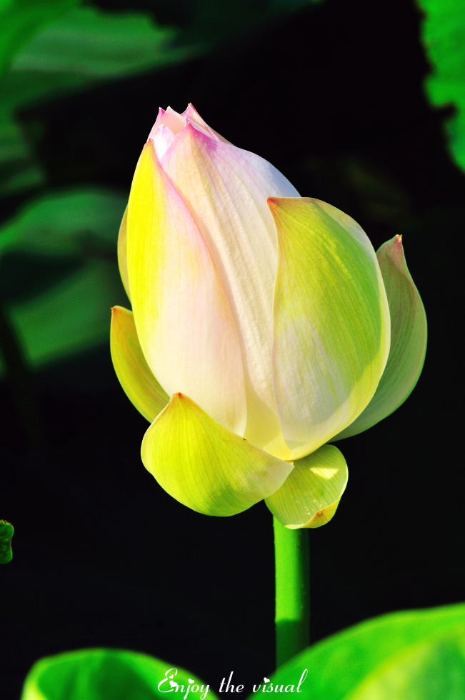 http://i.dcview.tw/gallery/201107/b7f1d1df29c6a4db5971ac829b32ea3f.jpg