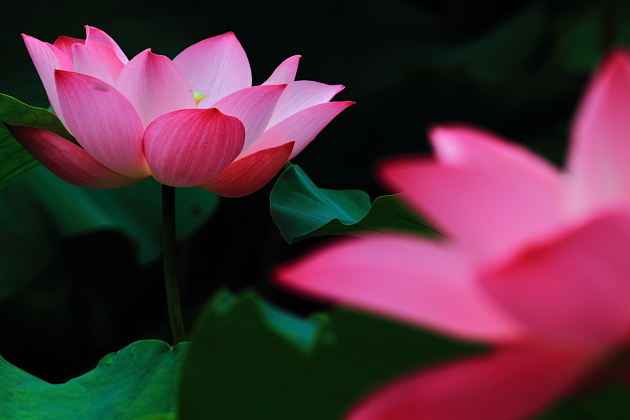 http://i.dcview.tw/gallery/201107/be32d9c51711c8346d5e54249696bf17.jpg
