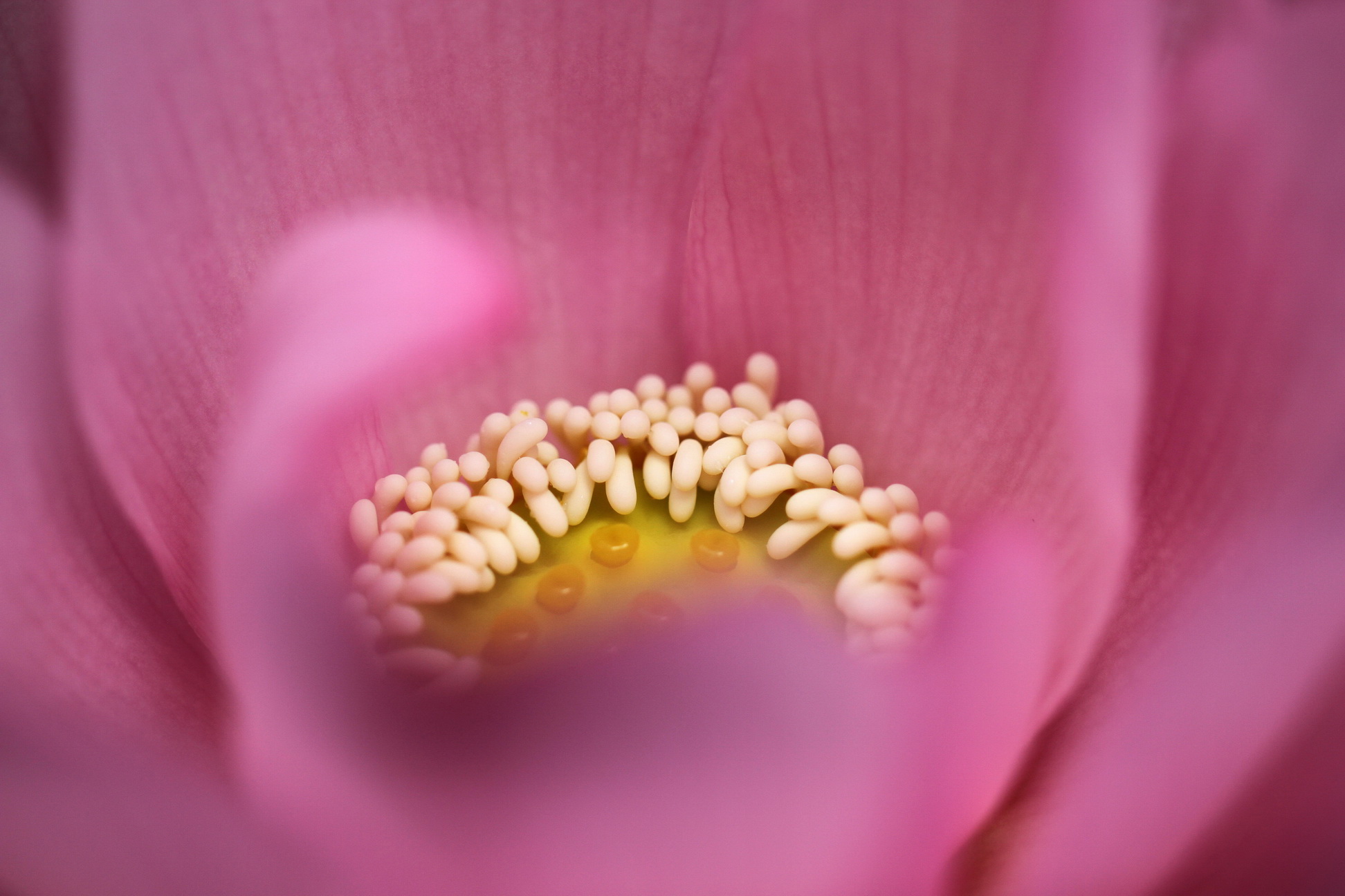 http://i.dcview.tw/gallery/201107/c1709f6676f7ce9ad5973ae290a0a182.jpg