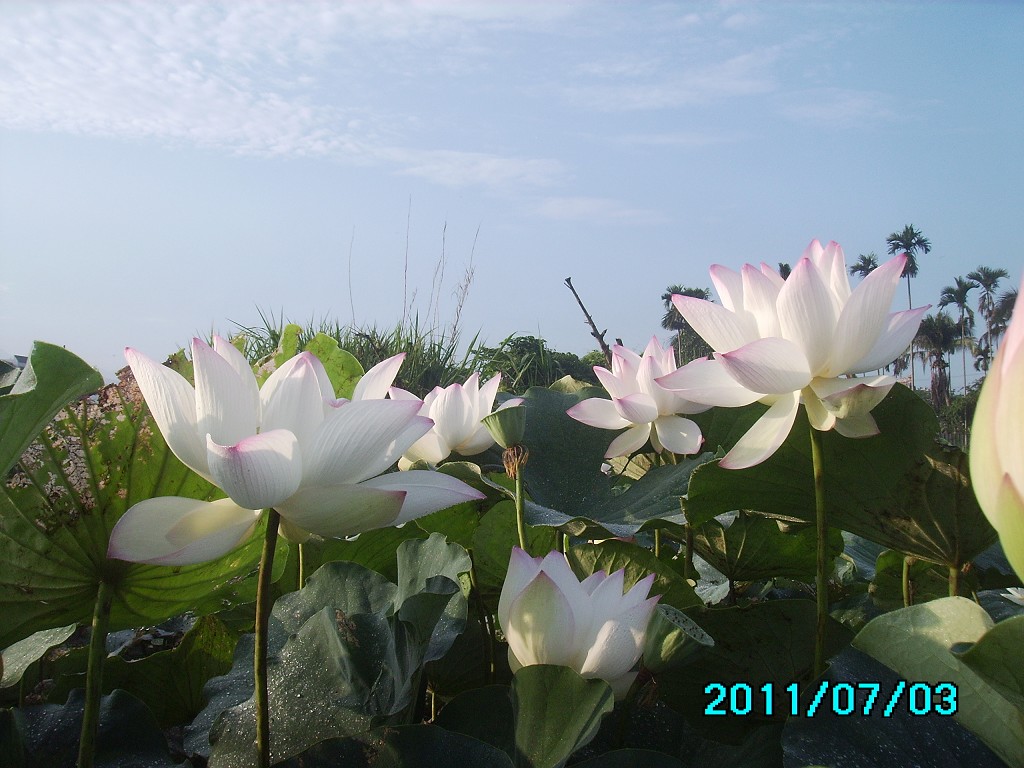 http://i.dcview.tw/gallery/201107/c3ecd762b34de016546b16dcade7be6e.jpg