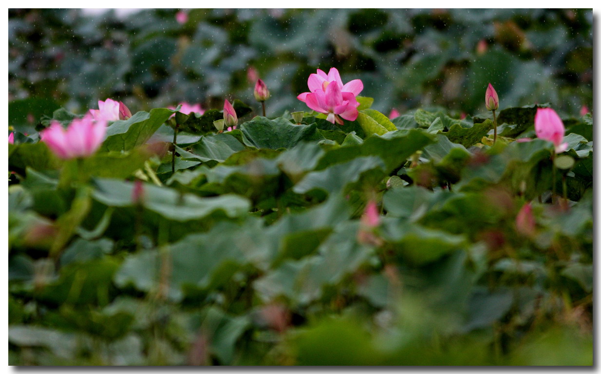 http://i.dcview.tw/gallery/201107/c472077b59b70fce9365195097fbd396.jpg