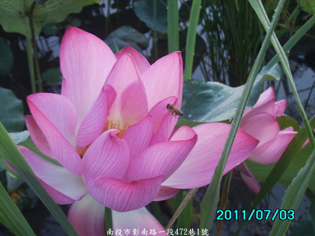 http://i.dcview.tw/gallery/201107/c67722df489b4807058da4da4abdd110.jpg